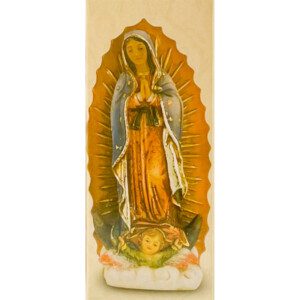 Our Lady of Guadalupe Patroness of the Americas, Patron of Pro-Life & Americas