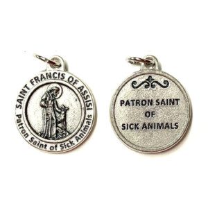 St. Francis Sick Animals